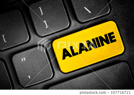 Alanine is an amino acid that is used to make proteins, text button on keyboard, concept background Alanine is an amino acid that is used to make proteins, text button on keyboard, concept background 107716721