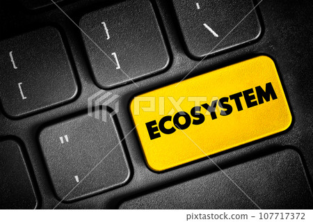 Ecosystem - consists of all the organisms and the physical environment with which they interact, text button on keyboard, concept background Ecosystem - consists of all the organisms and the physical environment with which they interact, text button on keyboard, concept background 107717372