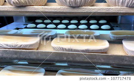 Big bakery bread industrial production line. Fresh bread dough entering the Bread Baking Furnace. Conveyor Belt of Industrial Bread Baking Tunnel Big bakery bread industrial production line. Fresh bread dough entering the Bread Baking Furnace. Conveyor Belt of Industrial Bread Baking Tunnel 107717478