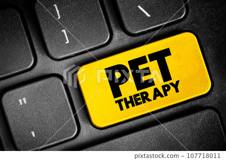 Pet therapy - guided interaction between a person and a trained animal, text button on keyboard, concept background 107718011