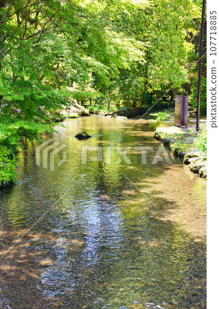 Kyoto Kamigamo Shrine Nara no Ogawa 107718885