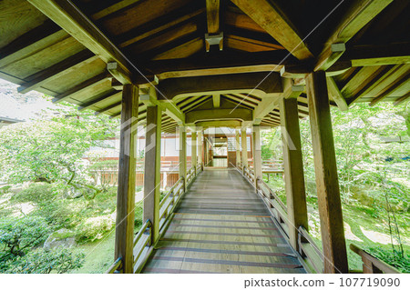 京都花園風光 京都花園風光 107719090