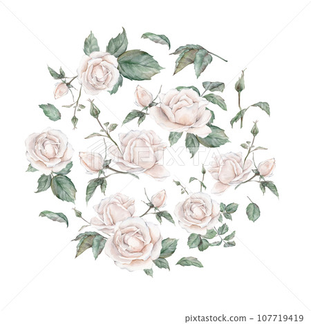 Watercolor white tea rose wreath. hand drawing illustration , isolated white background, flower clipart. for design wedding invitations, anniversary, birthday, postcards, greetings Watercolor white tea rose wreath. hand drawing illustration , isolated white background, flower clipart. for design wedding invitations, anniversary, birthday, postcards, greetings 107719419