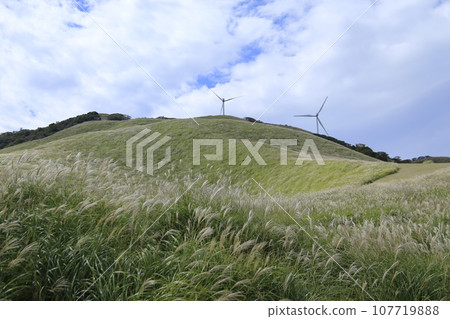 秋天的天空和沖洗 107719888