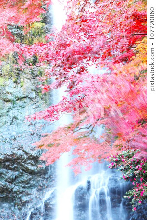 The autumn breeze blows through the maple trees that decorate the waterfall. 107720060