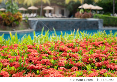 Tropical holiday theme 107720868
