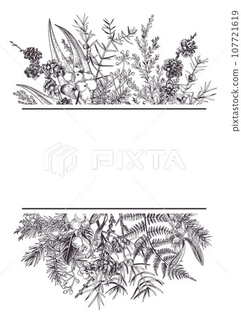 Christmas invitation with winter plants, berries and hellebore flowers. Art line style. Black. Outline, no fill. 107721619