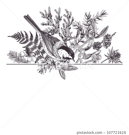 Christmas traditional card with birds and winter plants. Black. Fern, spruce, mistletoe and titmouse. Hand drawn botanical illustration. Outline, no fill. Christmas traditional card with birds and winter plants. Black. Fern, spruce, mistletoe and titmouse. Hand drawn botanical illustration. Outline, no fill. 107721628