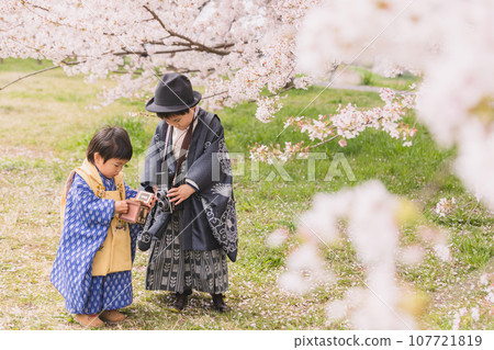 Brothers under the cherry tree 107721819