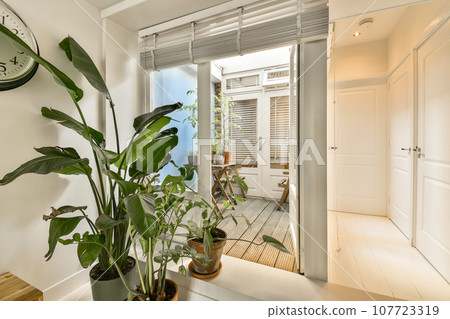 a plant in the corner of a room with a clock on the wall behind it and an open door that leads to a balcony a plant in the corner of a room with a clock on the wall behind it and an open door that leads to a balcony 107723319