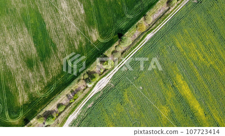 Dirt road along the abandoned melioration canal. Agricultural land, aerial view. Dirt road along the abandoned melioration canal. Agricultural land, aerial view. 107723414