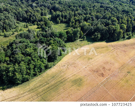 A large farm field near a green forest, aerial view. Scenery. A large farm field near a green forest, aerial view. Scenery. 107723425