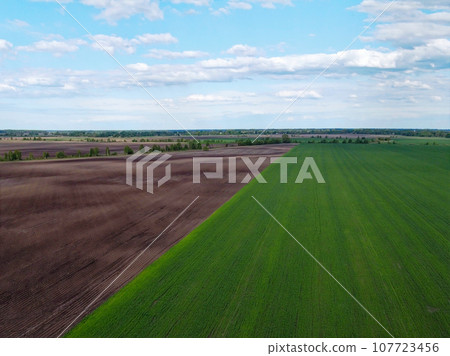 Vast farmland on a sunny day, aerial view. Sown agricultural field. Vast farmland on a sunny day, aerial view. Sown agricultural field. 107723456