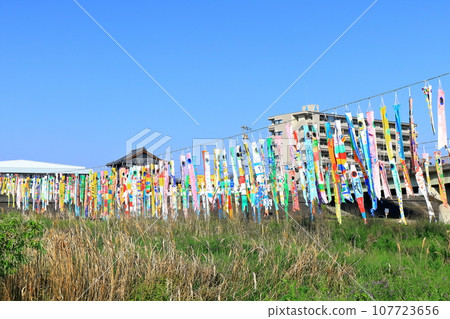 Handmade carp streamers by elementary school students swimming along the riverbed (Boys' Festival) Handmade carp streamers by elementary school students swimming along the riverbed (Boys' Festival) 107723656
