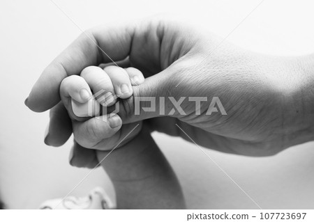 Parents' hands hold the fingers of a newborn baby. The hand of a mother and father close-up holds the fist of a newborn baby. Family health and medical care. Tiny fingers in a black and white photo. 107723697