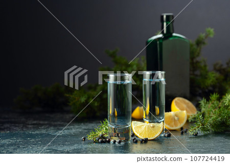 Gin with juniper berries, lemon slices, and vintage bottle. 107724419