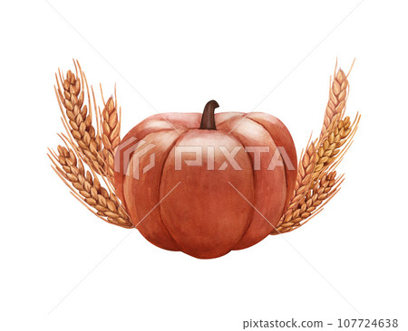 Watercolor realistic whole pumpkin and ears of wheat. Hand-drawn illustration isolated on white background. Perfect for menu cafe, template eco natural food, cooking, packing food, card thanksgiving. 107724638