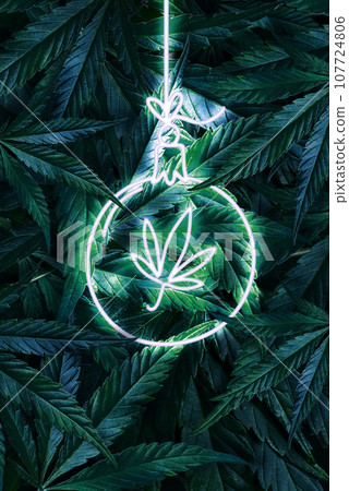 Christmas ball made of neon on background of green cannabis leaves bokeh New Year's background for cannabis Festive background, new year for marijuana Christmas ball made of neon on background of green cannabis leaves bokeh New Year's background for cannabis Festive background, new year for marijuana 107724806