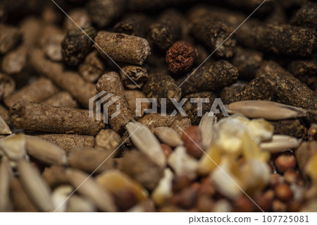 Chocolate chip and toffee chip cookies. 107725081