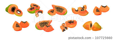 Papaya Fruit with Seeds and Orange Flesh Vector Set 107725660