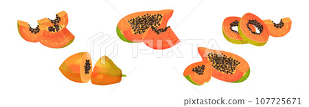 Papaya Fruit with Seeds and Orange Flesh Vector Set Papaya Fruit with Seeds and Orange Flesh Vector Set 107725671