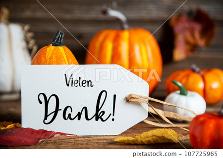 Orange Pumpkin Decoration With Label With Text Vielen Dank Orange Pumpkin Decoration With Label With Text Vielen Dank 107725965