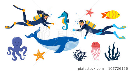 Diving and underwater world, set of elements. Divers with aqualung oxygen cylinders and flippers, marine life elements. Starfish, octopus, jellyfish, corals, algae. Vector illustration. Diving and underwater world, set of elements. Divers with aqualung oxygen cylinders and flippers, marine life elements. Starfish, octopus, jellyfish, corals, algae. Vector illustration. 107726136