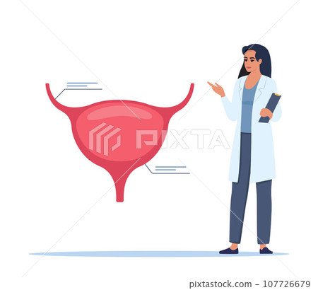 Doctor gives a training lecture about anatomy. Doctor presenting human bladder infographics. Medical seminar, lecture, healthcare meeting concept. Vector illustration. 107726679