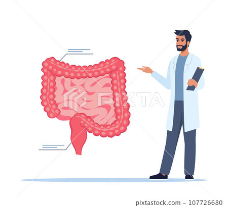 Doctor gives a training lecture about anatomy. Doctor presenting human intestine infographics. Medical seminar, lecture, healthcare meeting concept. Vector illustration. 107726680
