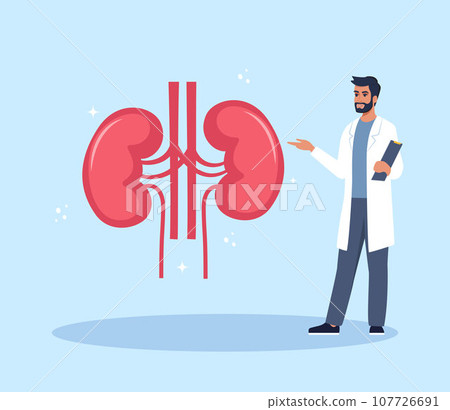 Doctor gives a training lecture about anatomy. Doctor presenting human kidneys infographics. Medical seminar, lecture, healthcare meeting concept. Vector illustration. Doctor gives a training lecture about anatomy. Doctor presenting human kidneys infographics. Medical seminar, lecture, healthcare meeting concept. Vector illustration. 107726691
