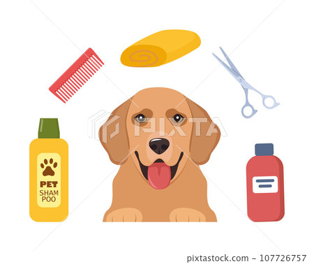 Dog Grooming. Caring for animals. Dog hair salon. Golden Retriever. Tools for the care of animals. Scissors, brush, shampoo, towel. Pet grooming salon. Vector illustration. 107726757