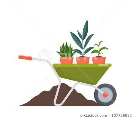 Wheelbarrow with flowers for planting. Vector illustration isolated on white background. 107726953
