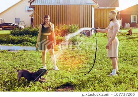 Pet owner waters dog with garden hose, which amuses animal and young woman of about 20 years old Pet owner waters dog with garden hose, which amuses animal and young woman of about 20 years old 107727200