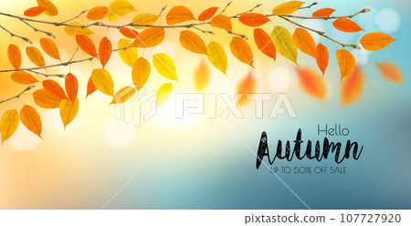 Autumn nature background with branches with colorful leaves and sun. Vector illustration. 107727920