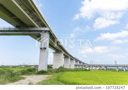 Viaduct and rural landscape 107728247