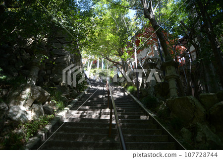 Tarobo Aga Shrine approach, Owaki-cho, Higashiomi City, Shiga Prefecture Tarobo Aga Shrine approach, Owaki-cho, Higashiomi City, Shiga Prefecture 107728744