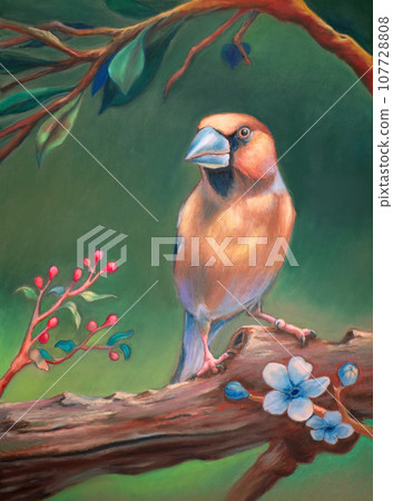 Hawfinch portrait with berries and flowers 107728808