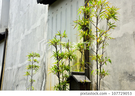 Kawara Museum in Omihachiman, Shiga Prefecture 107729053