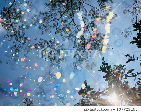 閃閃發光的肥皂泡和天空 107729165