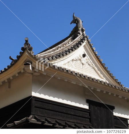 高知城堡城堡塔 高知城堡城堡塔 107729229