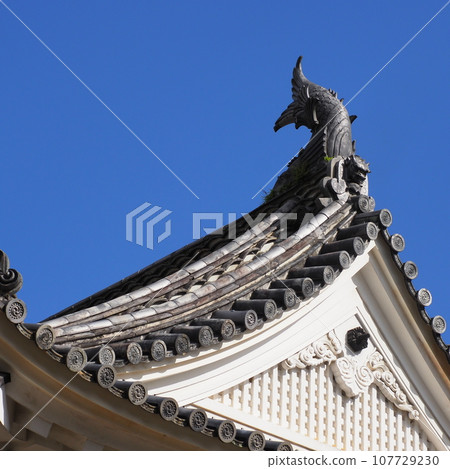 Kochi castle castle tower Kochi castle castle tower 107729230