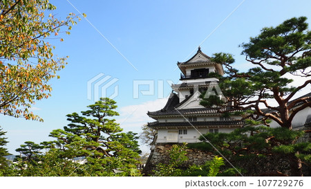 Kochi castle castle tower 107729276