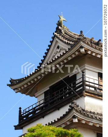 高知城堡城堡塔 高知城堡城堡塔 107729372