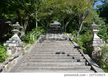 Stone steps on the approach to Joganji Temple, Owaki-cho, Higashiomi City, Shiga Prefecture Stone steps on the approach to Joganji Temple, Owaki-cho, Higashiomi City, Shiga Prefecture 107729425