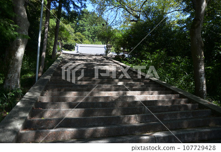 Joganji Temple approach and main hall Owaki-cho, Higashiomi City, Shiga Prefecture 107729428