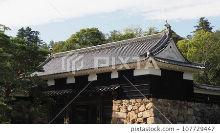 Kochi Castle Kochi Castle 107729447