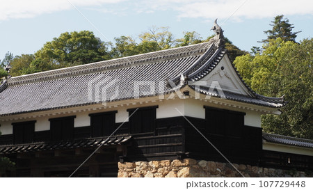 Kochi Castle Kochi Castle 107729448