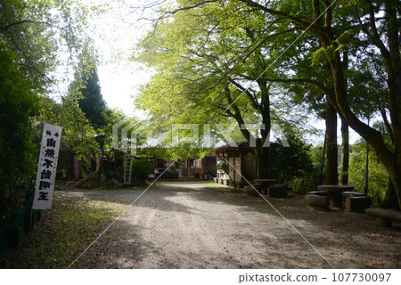 京都府相樂郡及束町原山金東寺院內 107730097