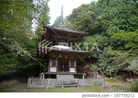 Kontaiji Tahoto Pagoda Harayama, Wazuka-cho, Soraku-gun, Kyoto Prefecture 107730212