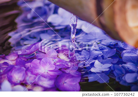 福島縣平田村Jupia Land Hirata 107730242